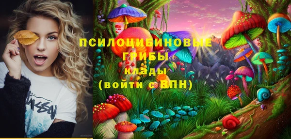не бодяженный Алексин