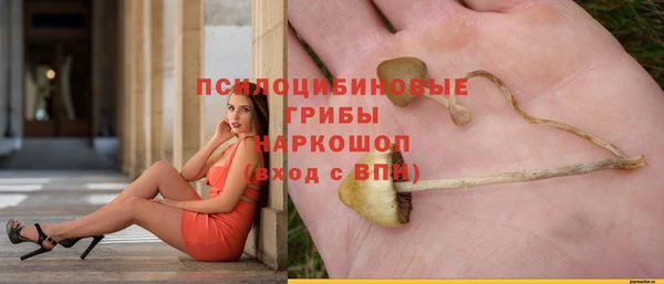 не бодяженный Алексин