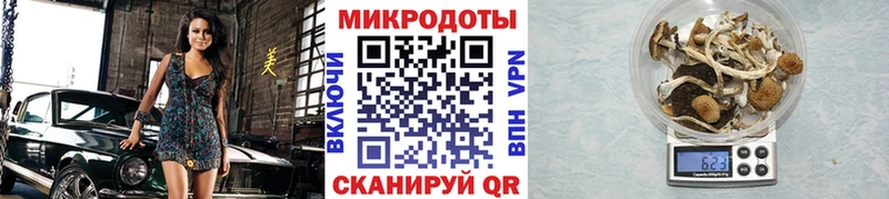 Галлюциногенные грибы ЛСД  это как зайти  Лобня 