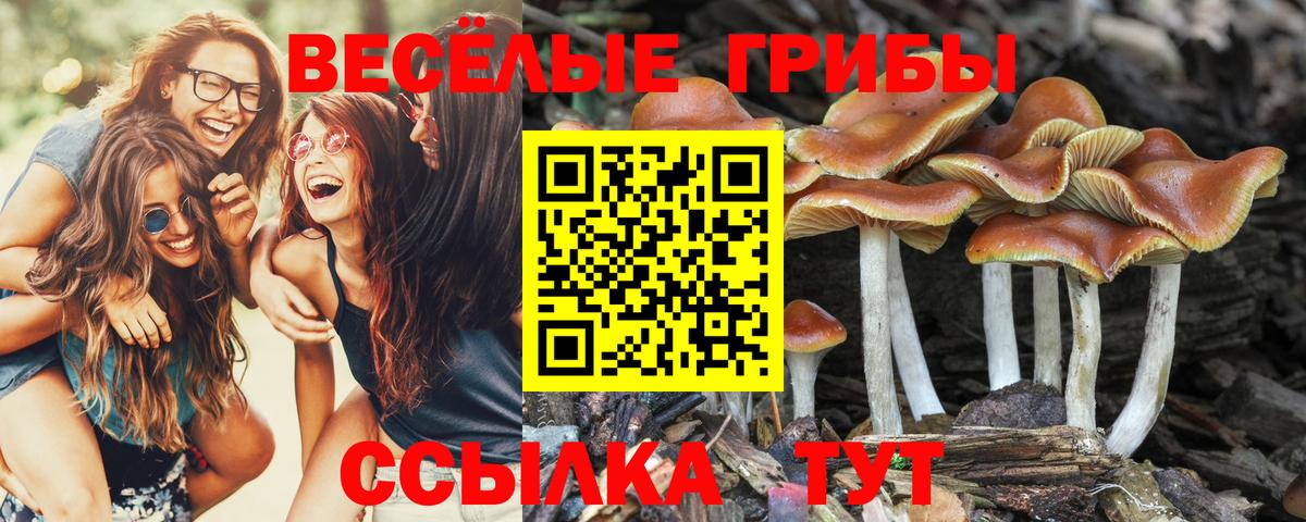 МДМА Лобня