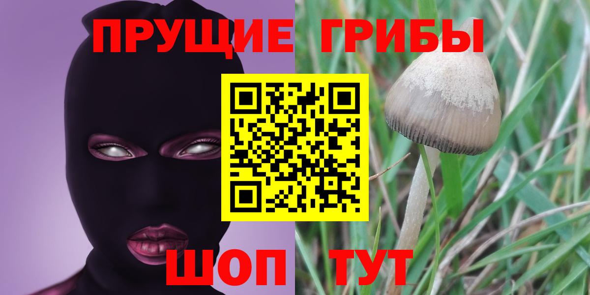 Галлюциногенные грибы ЛСД Лобня
